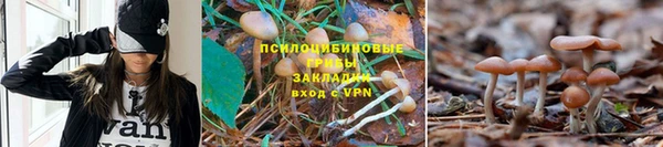 MDMA Няндома