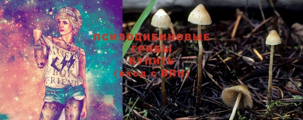 PSILOCYBIN Новозыбков