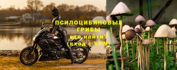 PSILOCYBIN Новозыбков